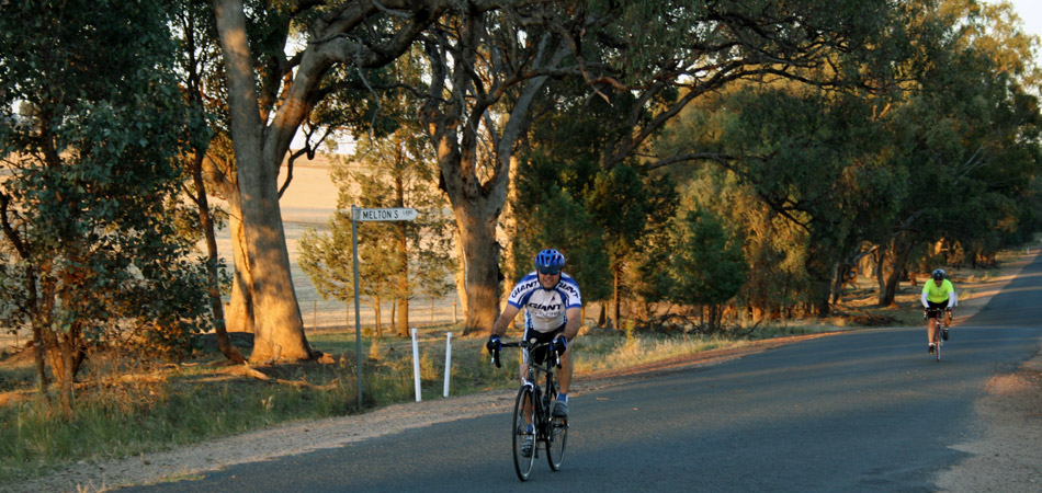 Why Choose a Farmstay in NSW