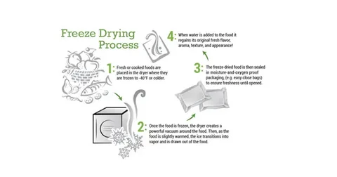 Why Freeze Drying